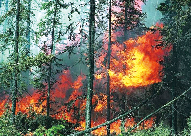 লাগোস কালার স্টোন মেটাল টাইল জিয়াংসু কোং, লি.